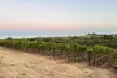 Wine Tasting & 4 Limited Edition Wines w/ Optional Charcuterie Board for 1, 2, or 4 People (Up to 51% Off) - Second Medium