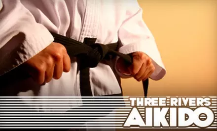 $20 for One Month of Unlimited Training at Three Rivers Aikido ($100 Value) - Primary Image