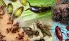 $79 for a Complete Home-Pest-Prevention Package from Harper Pest Control