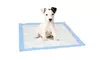 AKC Puppy Training Pads