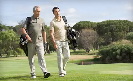 $59 for a Full-Game Evaluation at Performance Golf Academies of America in Dublin ($360 Value) - Primary Image