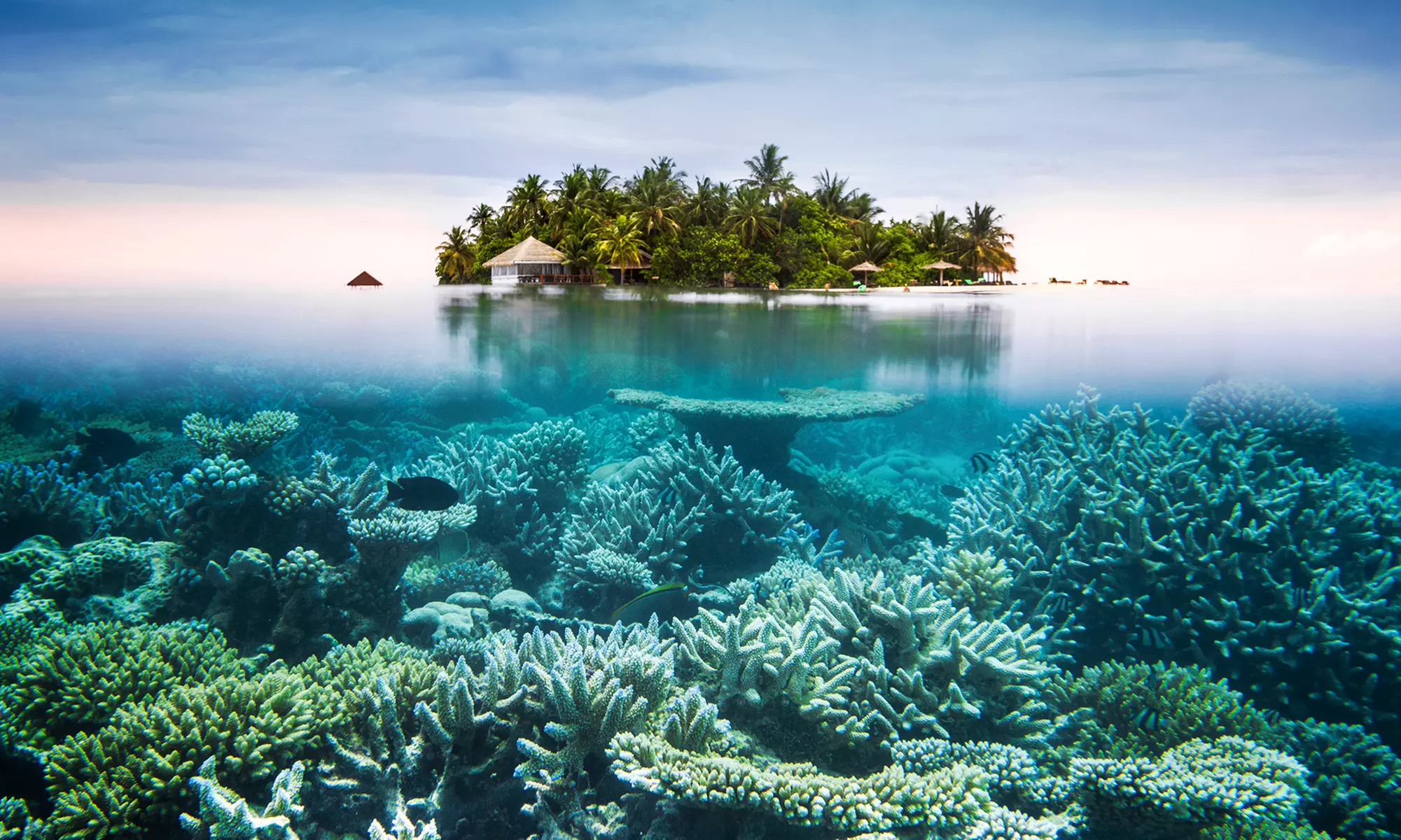 ✈ 9-Day Maldives Getaway: 4* All-Inclusive Paradise with Flights