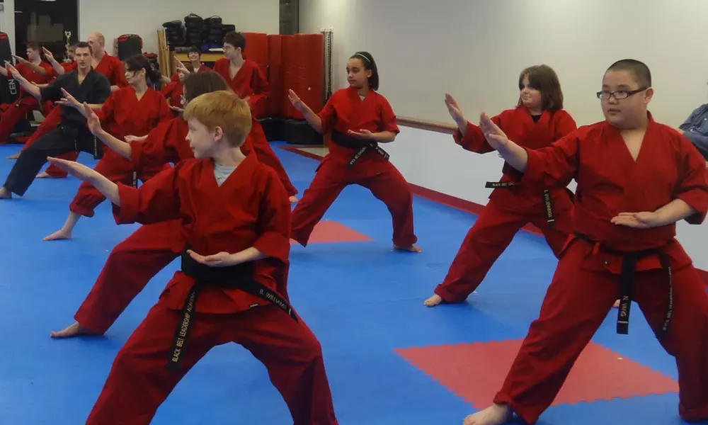 1 or 2 Months of Martial Arts Classes at Black Belt Leadership Academy (Up to 74% Off) - Primary Image