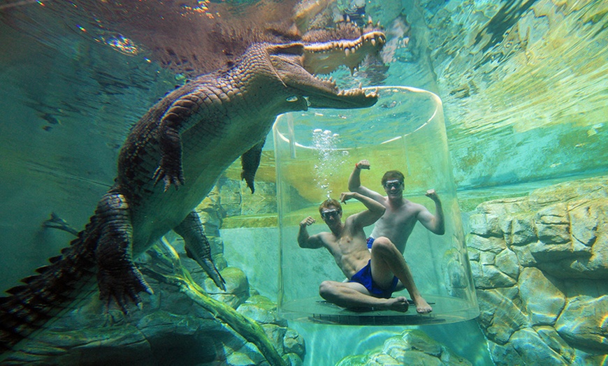 Image 8: Darwin: Cage of Death w/ Full Day Entry or Big Croc Encounter VIP Tour