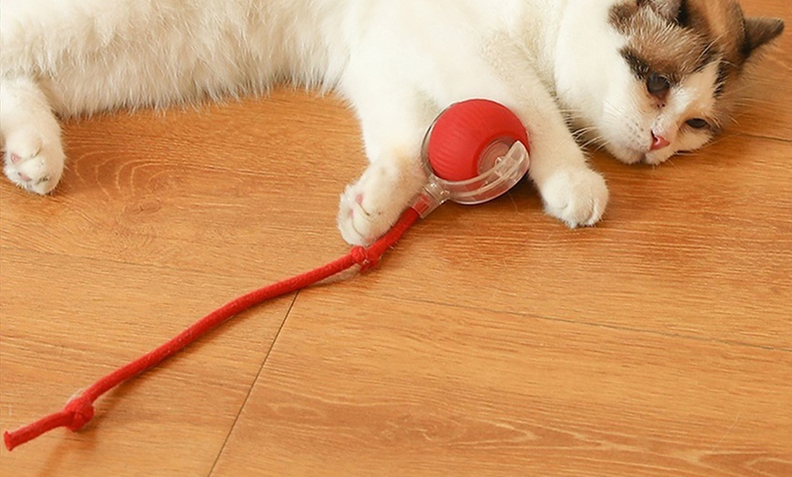 Image 7: Interactive Electric Cat Rolling Ball Toy