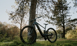 E-Bike at Upway