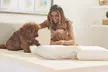 CopperFresh Gel Memory Foam Pillow with Copper-Embedded Cover - Second Medium
