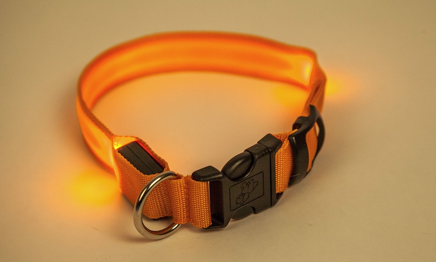 Image 7: LED Dog Collars