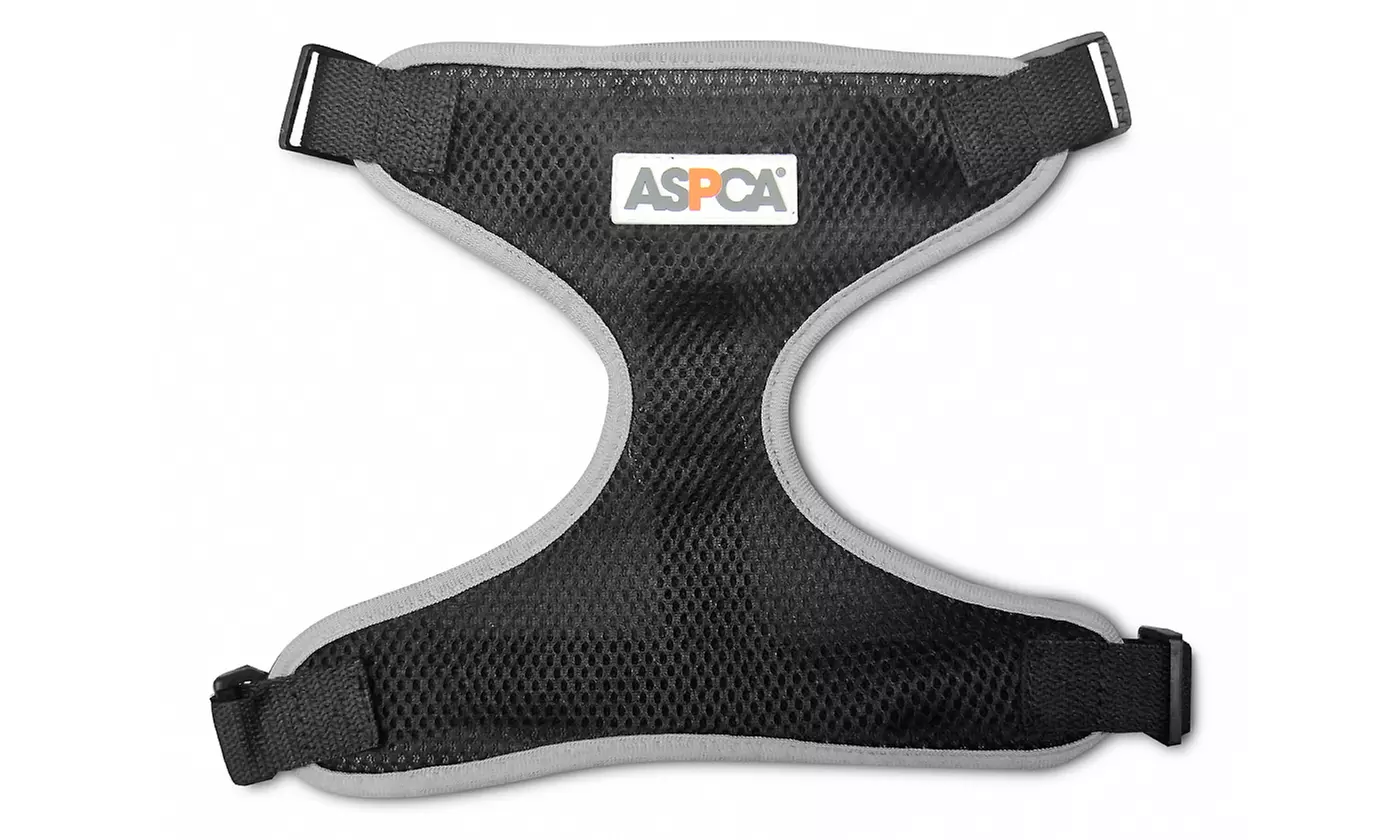 ASPCA Mesh Dog Harness - Second Medium