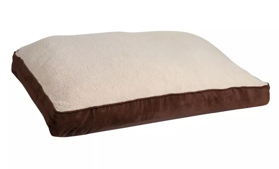 Animal Planet Memory Foam Pet Beds. Multiple Options Available from $24.99–$29.99. Free Returns. - Second Medium