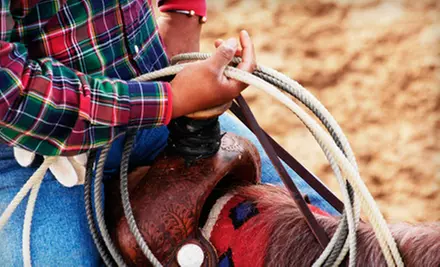 One-Hour Horseback-Riding Experience or Two-Hour Romantic Trail Ride for Two at Horse Rides of Pensacola (Half Off) - Primary Image