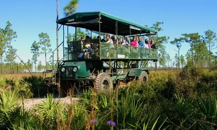 Coach Safari for One, Two, or Four from Florida EcoSafaris (Up to 46% Off) - Primary Image