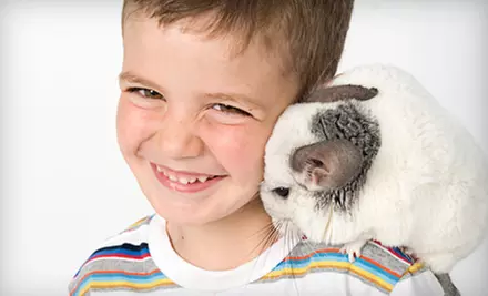 Six-Week, Hands-On Animal Class for One Child Aged 2–5 or 5–10 at Pawsitively Pets For Kids (52% Off) - Primary Image