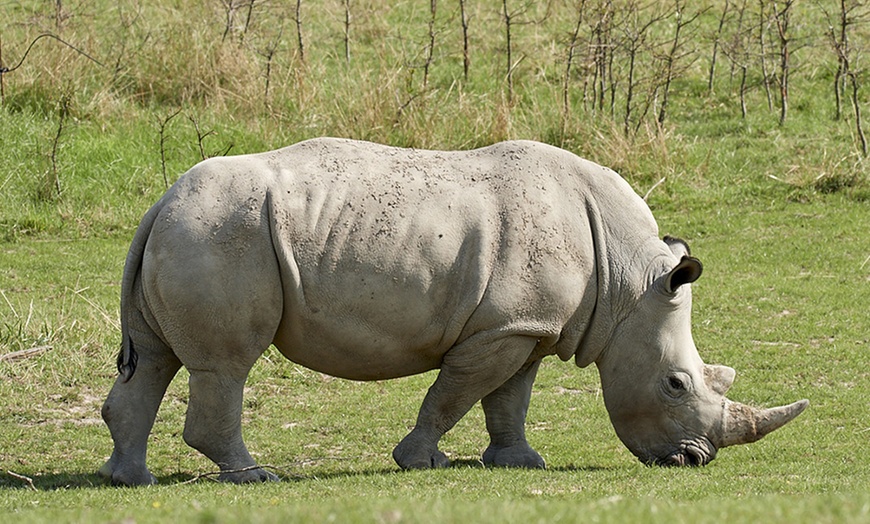 Image 8: Entrée au parc d'attraction et parc animalier Le PAL