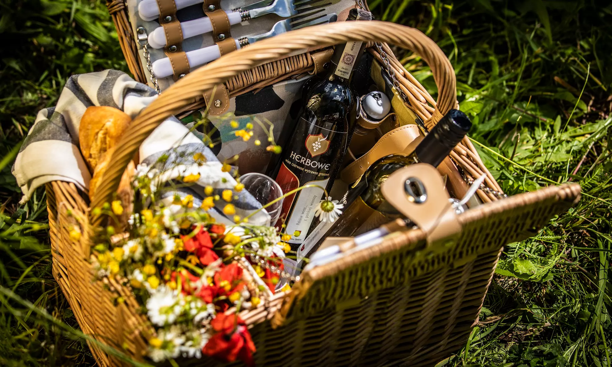 Odkryj tajemnice winiarstwa: Zwiedzanie Winnicy Zbrodzice z degustacją