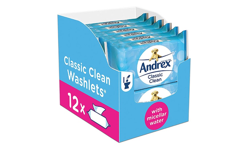 Image 6: Andrex Flushable Wipes
