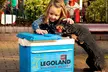 LEGOLAND® Windsor Resort: Exclusive Ticket and Digital Photo Bundles from £27 (Up to 58% Off) - Image 6