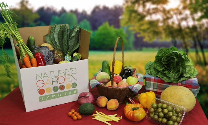 Nature's Garden Express in - Atlanta | Groupon