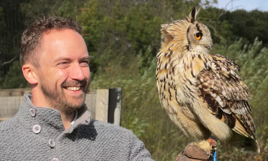 Image 2: Half-Day Falconry Experience
