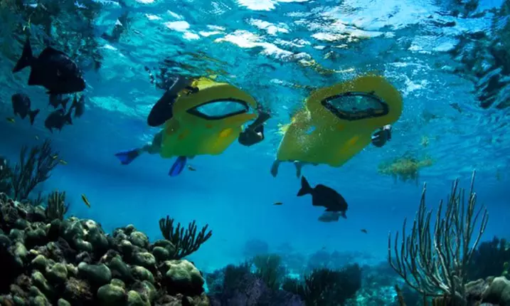 Zayak Sea Sled Rental or Snorkel Equipment for Two or Four at PaddleAwaySports (Up to 55% Off) - Primary Image