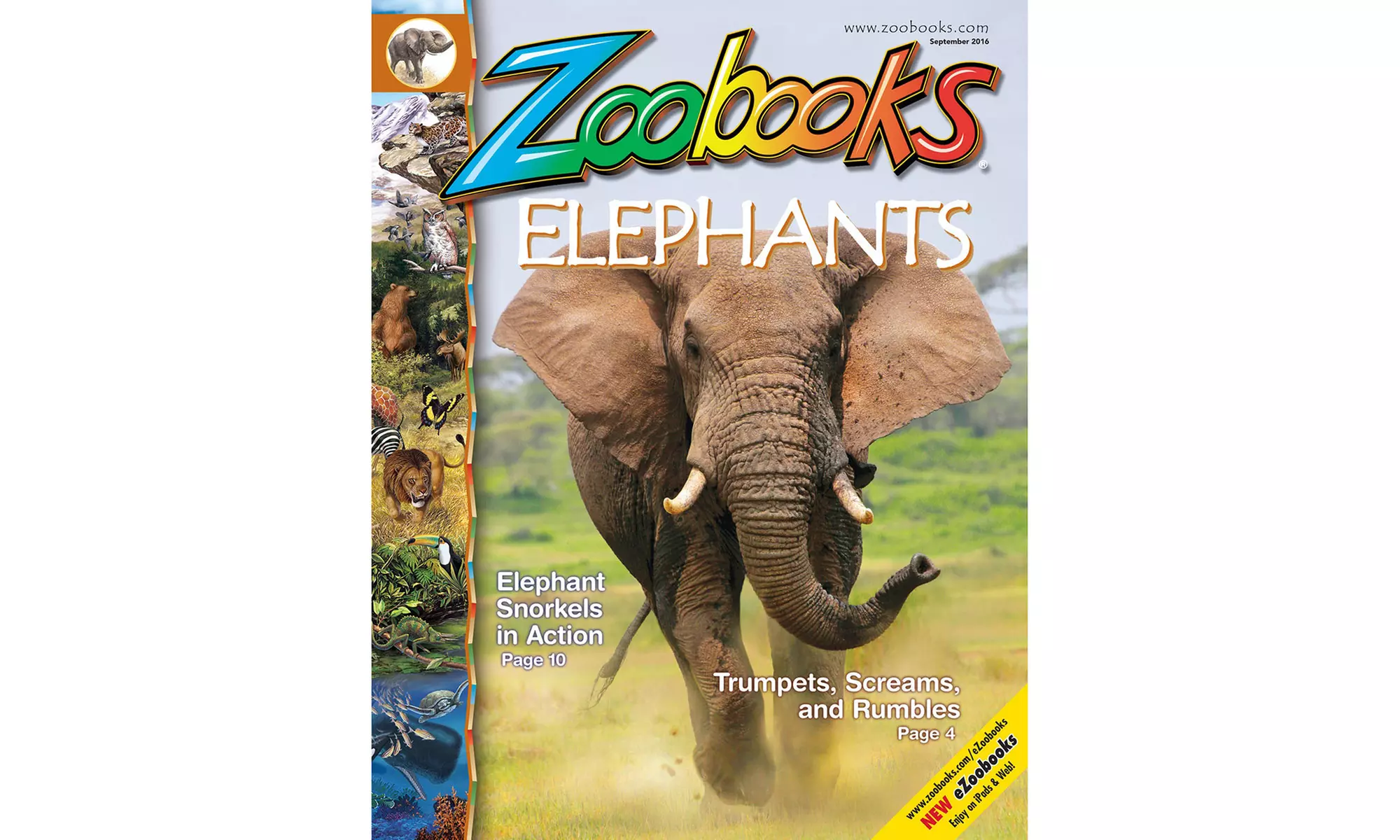 One- or Two-Year Subscriptions to "Zoobooks" Magazine (Up to 75% Off). Five Options Available. - Second Medium