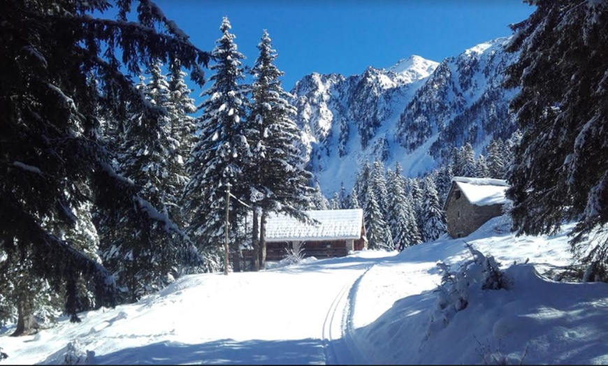 Image 12: parc du Mercantour : 2 nuits avec entrées au parc Alpha Loup 