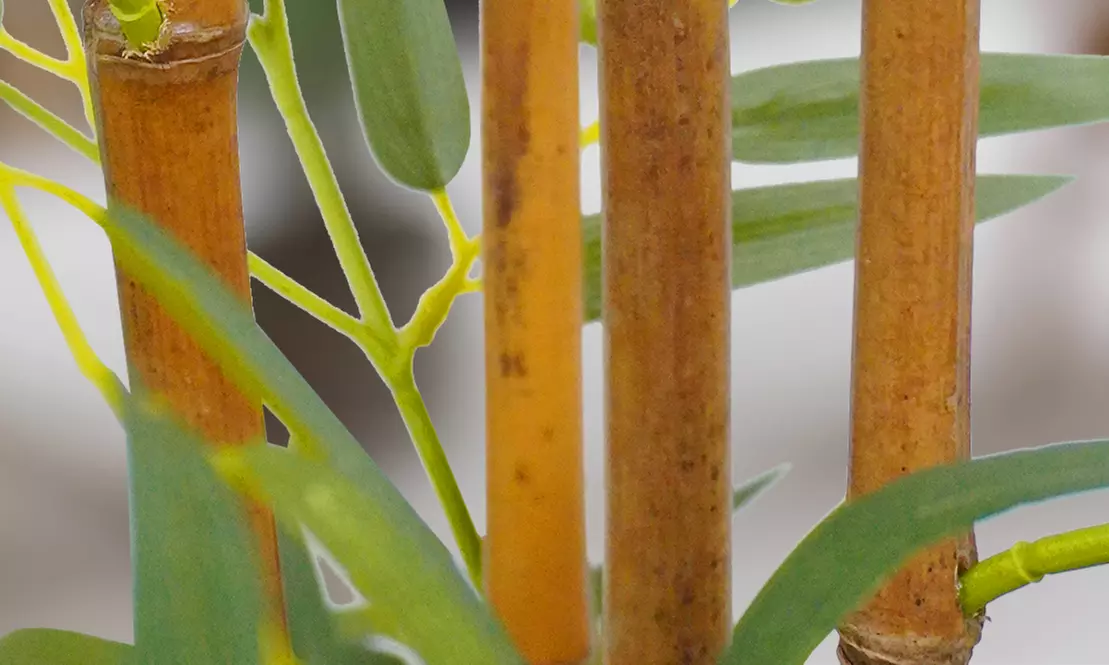 Collezione di piante finte da interno