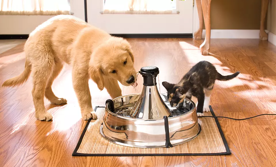 Drinkwell Pet Fountain Kits. Multiple Styles. - Primary Image