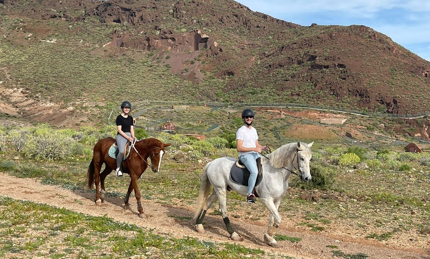 Image 1: ♞ Paseo a caballo para 2 personas con Horse Riding Canaria