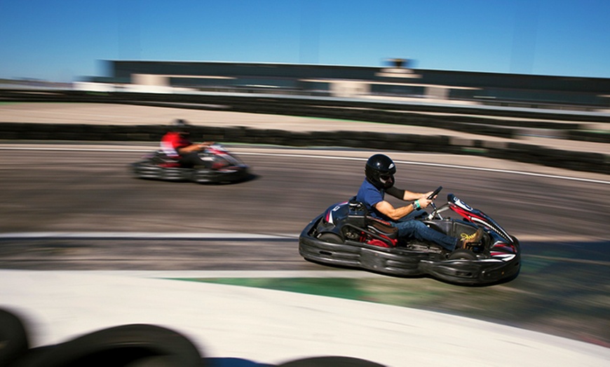 Image 2: Professional Kart Racing