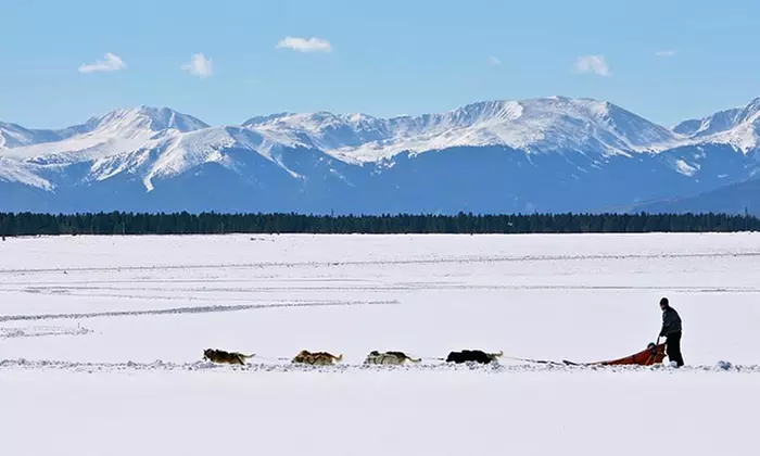 Dogsledding Group tour for 2 Or 4 People at Alpine Adventures Up to 24% Off - Second Medium
