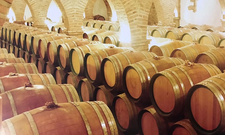 Image 3: Visita a bodega con cata de vinos 