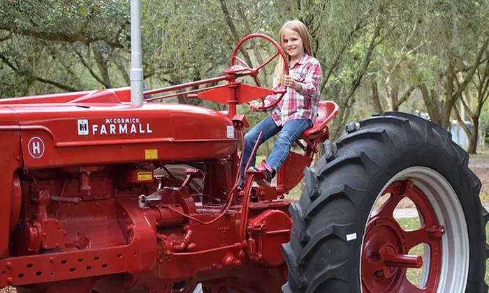 Petting-Farm Visit for One or for Two Kids at Green Meadows Farm (Up to 48% Off) - Second Medium