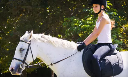 One or Two Private Two-Hour Horseback-Riding and Horsemanship Lessons at Dip ‘N Run Stables (Up to 54% Off) - Primary Image
