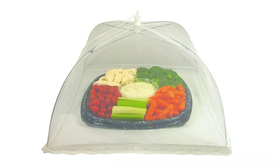 Mesh Food Umbrella 2-Pack. Free Returns. - Primary Image