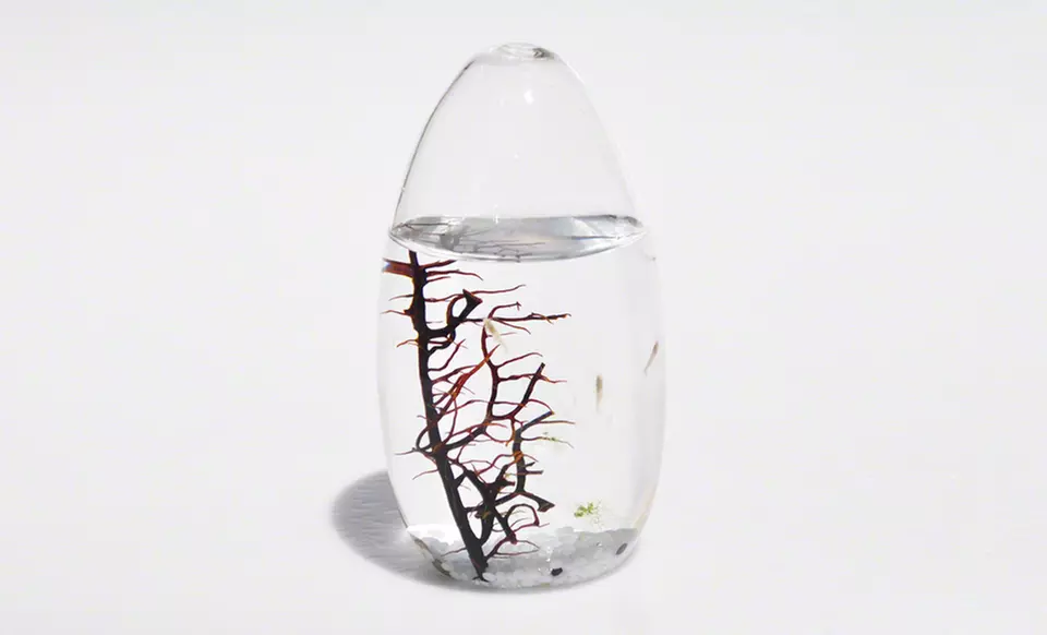 $49.99 for an EcoSphere Small Pod ($79 List Price). Free Shipping and Returns. - Primary Image