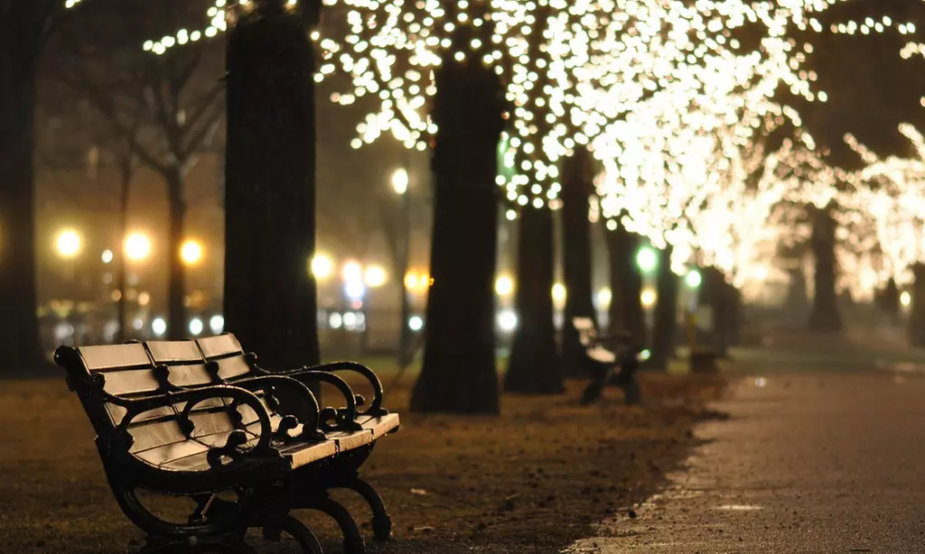 Solar-Powered LED Fairy Lights (2-Pack) - Primary Image