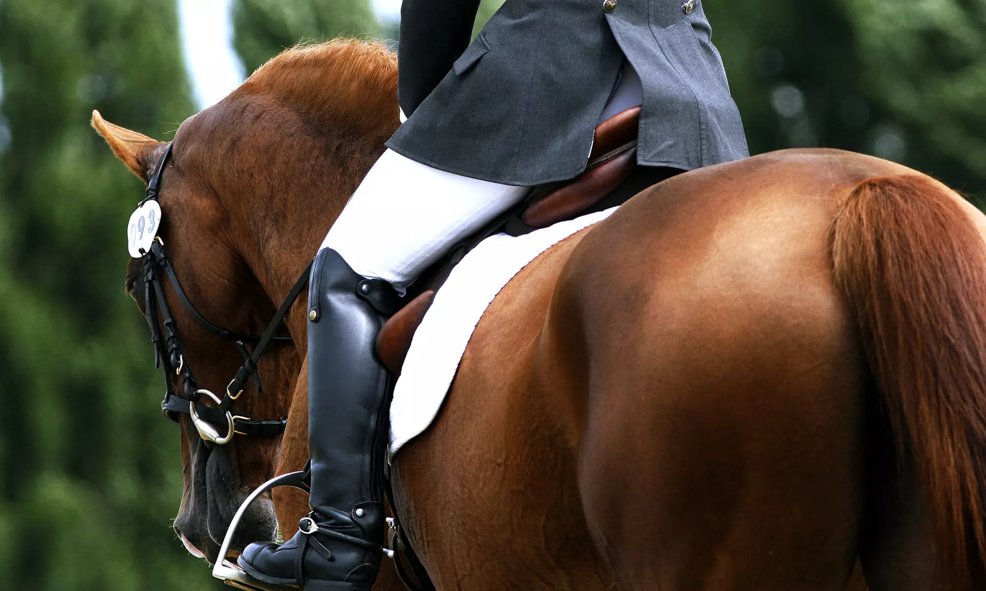 60-Minute Horseback Trail Ride for One, Two, or Four at Horses 4 Hope Equestrian Center (Up to 46% Off) - Primary Image