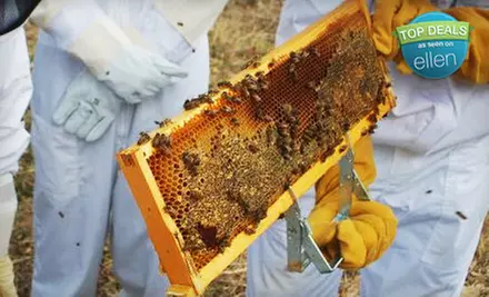 Introductory Beekeeping Class for One or Two at Round Rock Honey in Redwood City (Up to 68% Off) - Primary Image