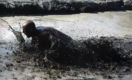 $34 for Entry to Hog Wild Mud Run in Brooksville on Saturday, November 5 ($69 Value) - Primary Image