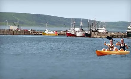 Half-Day or Full-Day Kayak Rental at Dockside Kayak Rentals in Digby. Four Options Available.  - Primary Image