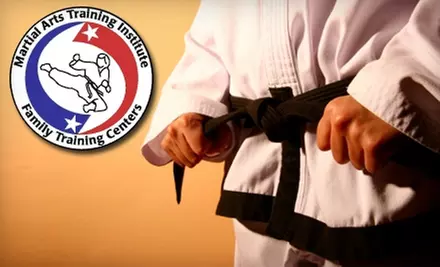 $39 For a 30-Day Trial Membership at Martial Arts Training Institute ($100 Value)  - Primary Image