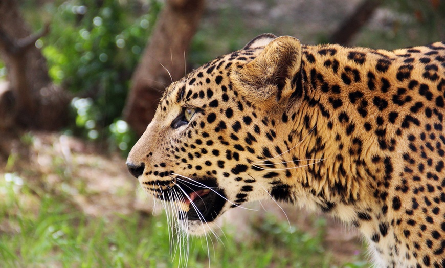 Image 15: ¡Diversión familiar! Entrada a Terra Natura Murcia para 1 a 4 personas