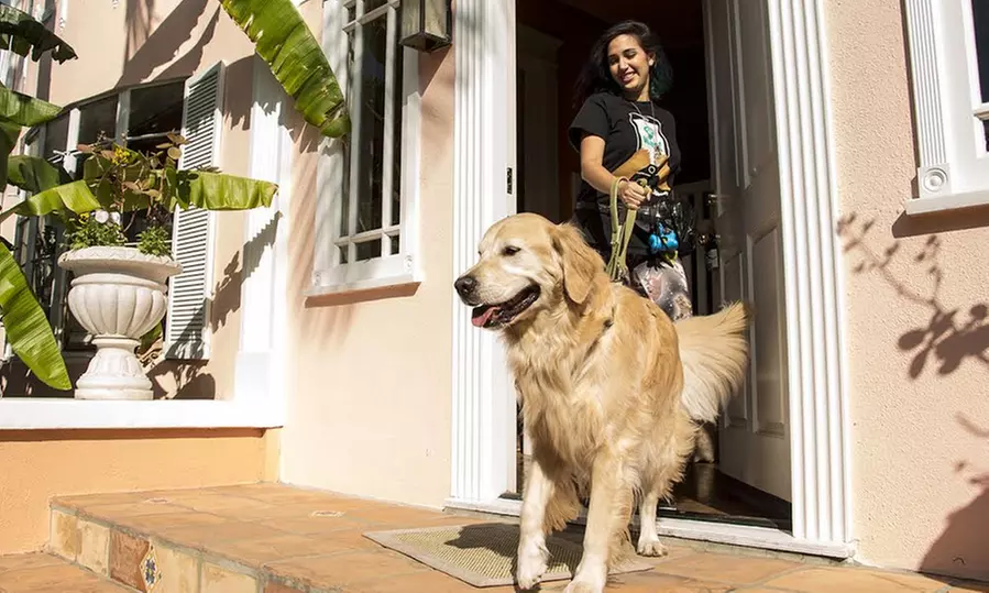 Two or Four Private Dog Walks from Wag the On Demand Dog Walking App (50% Off) - Primary Image