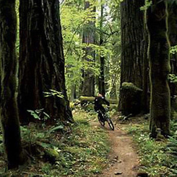 mckenzie river trail shuttle