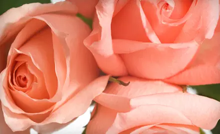 $10 for $20 Worth of Freshly Cut Flowers and Greenery at Grafe Studio - Primary Image