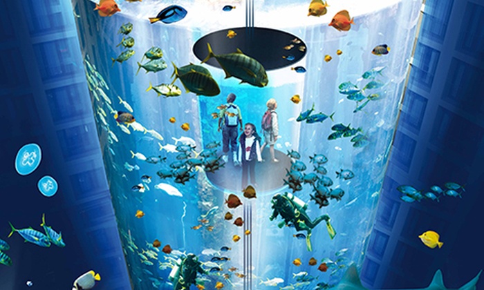 Sealife Berlin - AquaDom & SEA LIFE Berlin - 2019 All You Need to Know ...