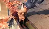Gutter Cleaning for Homes Up to 3,000, 4,000, or 5,000 Square Feet from My Gutter Pro (51% Off)