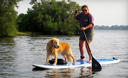 Standup-Paddleboarding Lessons for One, Two, or Four People from Tampa Bay SUP - Primary Image