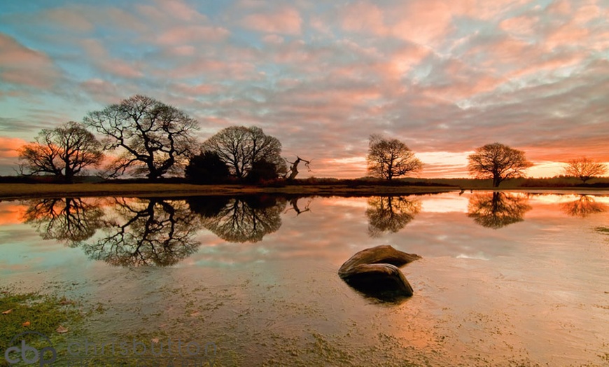 Image 4: Photography Course, New Forest